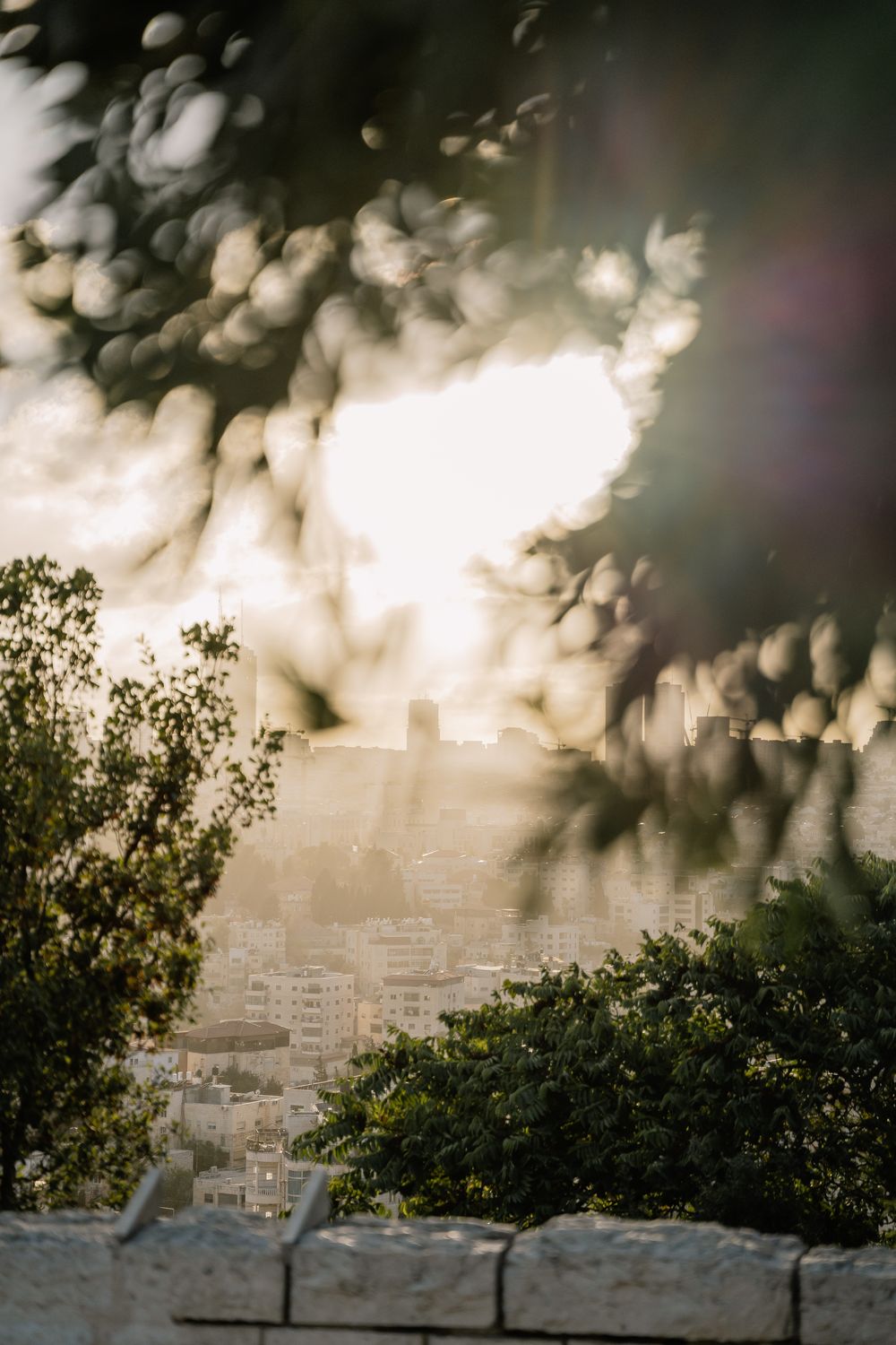 Golden light over a hillside city